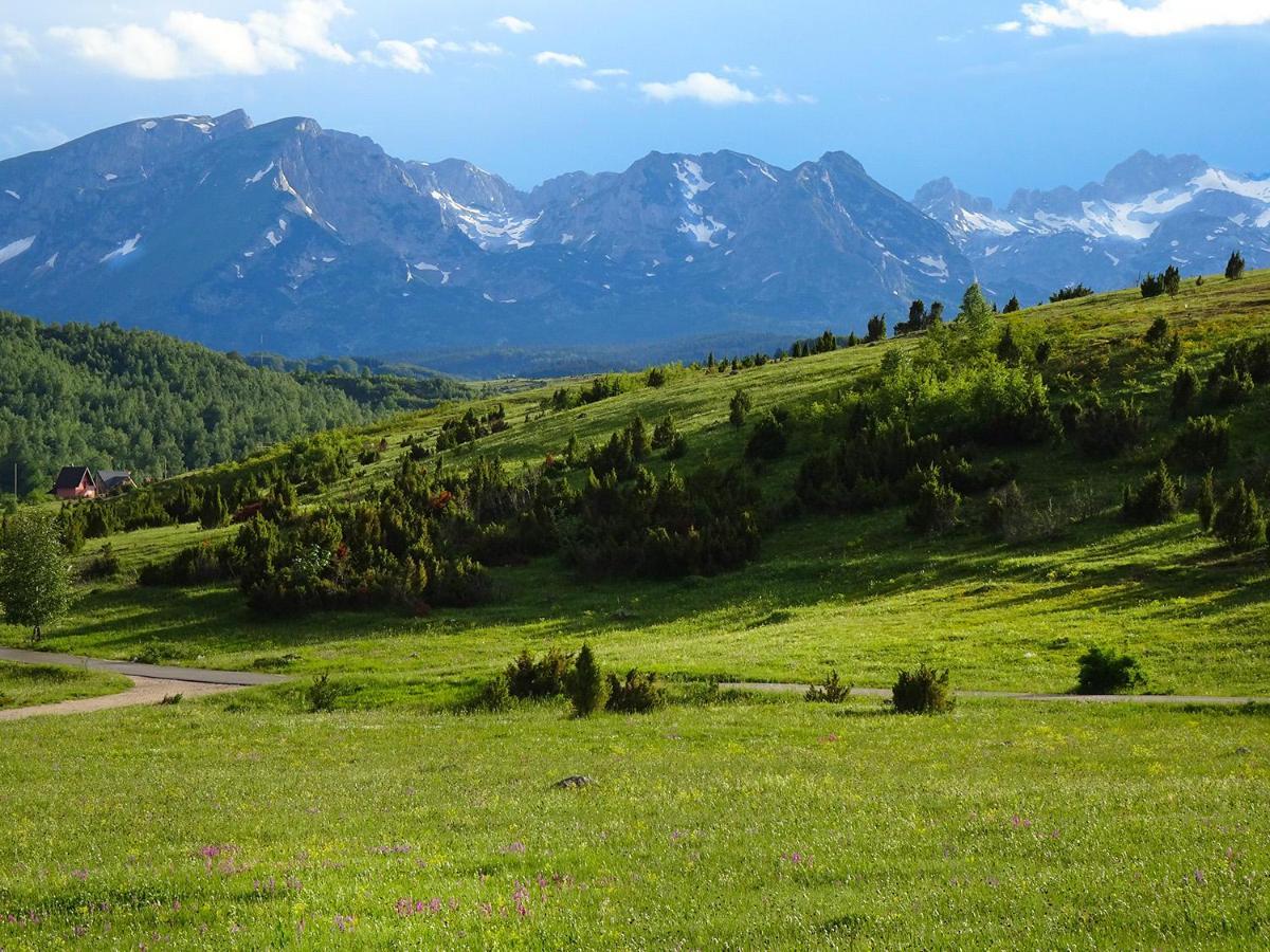 Durmitor View Lodge Žabljak Extérieur photo